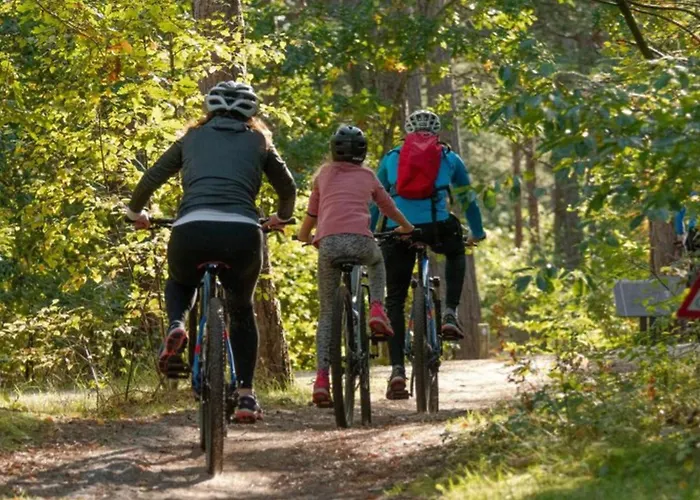 Pour 2 Avec Terrasse - Rampe D'acces - Api-1-52-922 Soubes